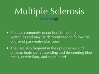 Multiple Sclerosis Plaques commonly occur beside the lateral ventricles and may be demonstrated to follow the course of paraventricular veins They are also frequent in the optic nerves and chiasm, brain stem ascending and descending fiber tracts, cerebellum, and spinal cord Morphology 