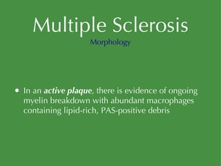 Multiple Sclerosis In an  active plaque , there is evidence of ongoing myelin breakdown with abundant macrophages containing lipid-rich, PAS-positive debris Morphology 