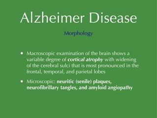 Alzheimer Disease Macroscopic examination of the brain shows a variable degree of  cortical atrophy  with widening of the cerebral sulci that is most pronounced in the frontal, temporal, and parietal lobes Microscopic:  neuritic (senile) plaques, neurofibrillary tangles, and amyloid angiopathy Morphology 