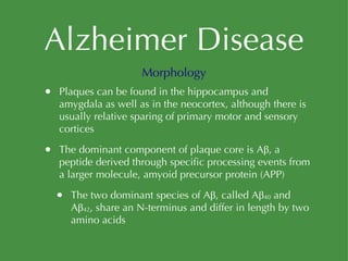 Alzheimer Disease Plaques can be found in the hippocampus and amygdala as well as in the neocortex, although there is usually relative sparing of primary motor and sensory cortices The dominant component of plaque core is Aβ, a peptide derived through specific processing events from a larger molecule, amyoid precursor protein (APP) The two dominant species of Aβ, called Aβ 40  and Aβ 42 , share an N-terminus and differ in length by two amino acids Morphology 