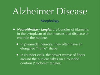 Alzheimer Disease Neurofibrillary tangles  are bundles of filaments in the cytoplasm of the neurons that displace or encircle the nucleus In pyramidal neurons, they often have an elongated “flame” shape In rounder cells, the basket weave of fibers around the nucleus takes on a rounded contour (“globose” tangles) Morphology 