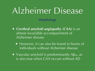 Alzheimer Disease Cerebral amyloid angiopathy (CAA)  is an almost invariable accompaniment of Alzheimer disease However, it can also be found in brains of individuals without Alzheimer disease Vascular amyloid is predominantly Aβ 40 , as is also true when CAA occurs without AD Morphology 