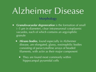 Alzheimer Disease Granulovacuolar degeneration  is the formation of small (~5 μm in diameter), clear intraneuronal cytoplasmic vacuoles, each of which contains an argyrophilic granule Hirano bodies , found especially in Alzheimer disease, are elongated, glassy, eosinophilic bodies consisting of paracrystalline arrays of beaded filaments, with actin as their major component They are found most commonly within hippocampal pyramidal cells Morphology 