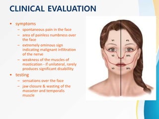 CLINICAL EVALUATION
• symptoms
– spontaneous pain in the face
– area of painless numbness over
the face
– extremely ominous sign
indicating malignant infiltration
of the nerve
– weakness of the muscles of
mastication - if unilateral, rarely
produces significant disabillity
• testing
– sensations over the face
– jaw closure & wasting of the
masseter and temporalis
muscle
 