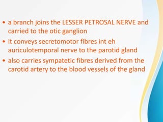 • a branch joins the LESSER PETROSAL NERVE and
carried to the otic ganglion
• it conveys secretomotor fibres int eh
auriculotemporal nerve to the parotid gland
• also carries sympatetic fibres derived from the
carotid artery to the blood vessels of the gland
 