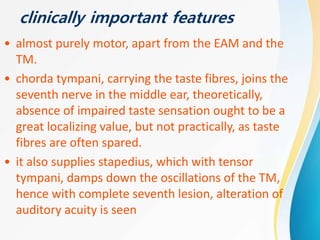 clinically important features
• almost purely motor, apart from the EAM and the
TM.
• chorda tympani, carrying the taste fibres, joins the
seventh nerve in the middle ear, theoretically,
absence of impaired taste sensation ought to be a
great localizing value, but not practically, as taste
fibres are often spared.
• it also supplies stapedius, which with tensor
tympani, damps down the oscillations of the TM,
hence with complete seventh lesion, alteration of
auditory acuity is seen
 
