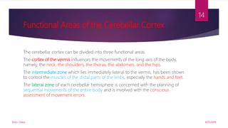 Functional Areas of the Cerebellar Cortex
The cerebellar cortex can be divided into three functional areas.
The cortex of the vermis inﬂuences the movements of the long axis of the body,
namely, the neck, the shoulders, the thorax, the abdomen, and the hips.
The intermediate zone which lies immediately lateral to the vermis, has been shown
to control the muscles of the distal parts of the limbs, especially the hands and feet.
The lateral zone of each cerebellar hemisphere is concerned with the planning of
sequential movements of the entire body and is involved with the conscious
assessment of movement errors.
9/25/2019Elvis J. Davis
14
 