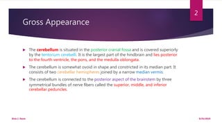 Gross Appearance
 The cerebellum is situated in the posterior cranial fossa and is covered superiorly
by the tentorium cerebelli. It is the largest part of the hindbrain and lies posterior
to the fourth ventricle, the pons, and the medulla oblongata.
 The cerebellum is somewhat ovoid in shape and constricted in its median part. It
consists of two cerebellar hemispheres joined by a narrow median vermis.
 The cerebellum is connected to the posterior aspect of the brainstem by three
symmetrical bundles of nerve ﬁbers called the superior, middle, and inferior
cerebellar peduncles.
9/25/2019Elvis J. Davis
2
 