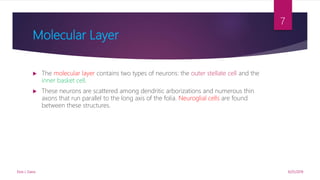 Molecular Layer
 The molecular layer contains two types of neurons: the outer stellate cell and the
inner basket cell.
 These neurons are scattered among dendritic arborizations and numerous thin
axons that run parallel to the long axis of the folia. Neuroglial cells are found
between these structures.
9/25/2019Elvis J. Davis
7
 