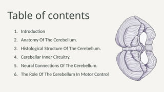Role of the Cerebellum in Motor Control.pptx