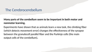 Role of the Cerebellum in Motor Control.pptx