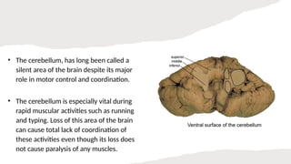 Role of the Cerebellum in Motor Control.pptx