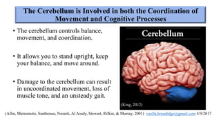 The cerebellum’s motor and nonmotor functions | PPTX