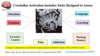 The cerebellum’s motor and nonmotor functions | PPTX