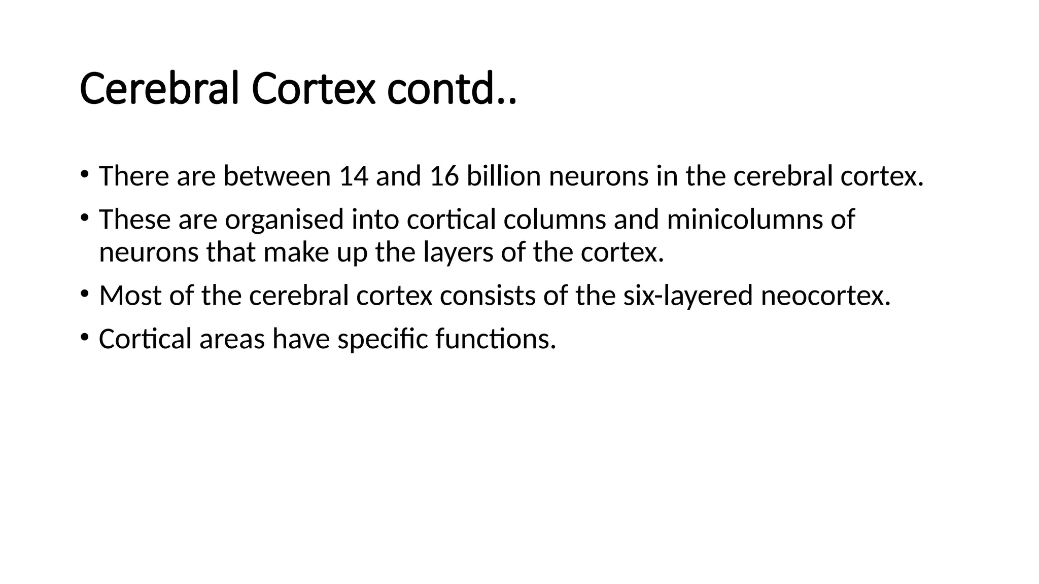 Cerebral Cortex contd..
• There are between 14 and 16 billion neurons in the cerebral cortex.
• These are organised into cortical columns and minicolumns of
neurons that make up the layers of the cortex.
• Most of the cerebral cortex consists of the six-layered neocortex.
• Cortical areas have specific functions.
 