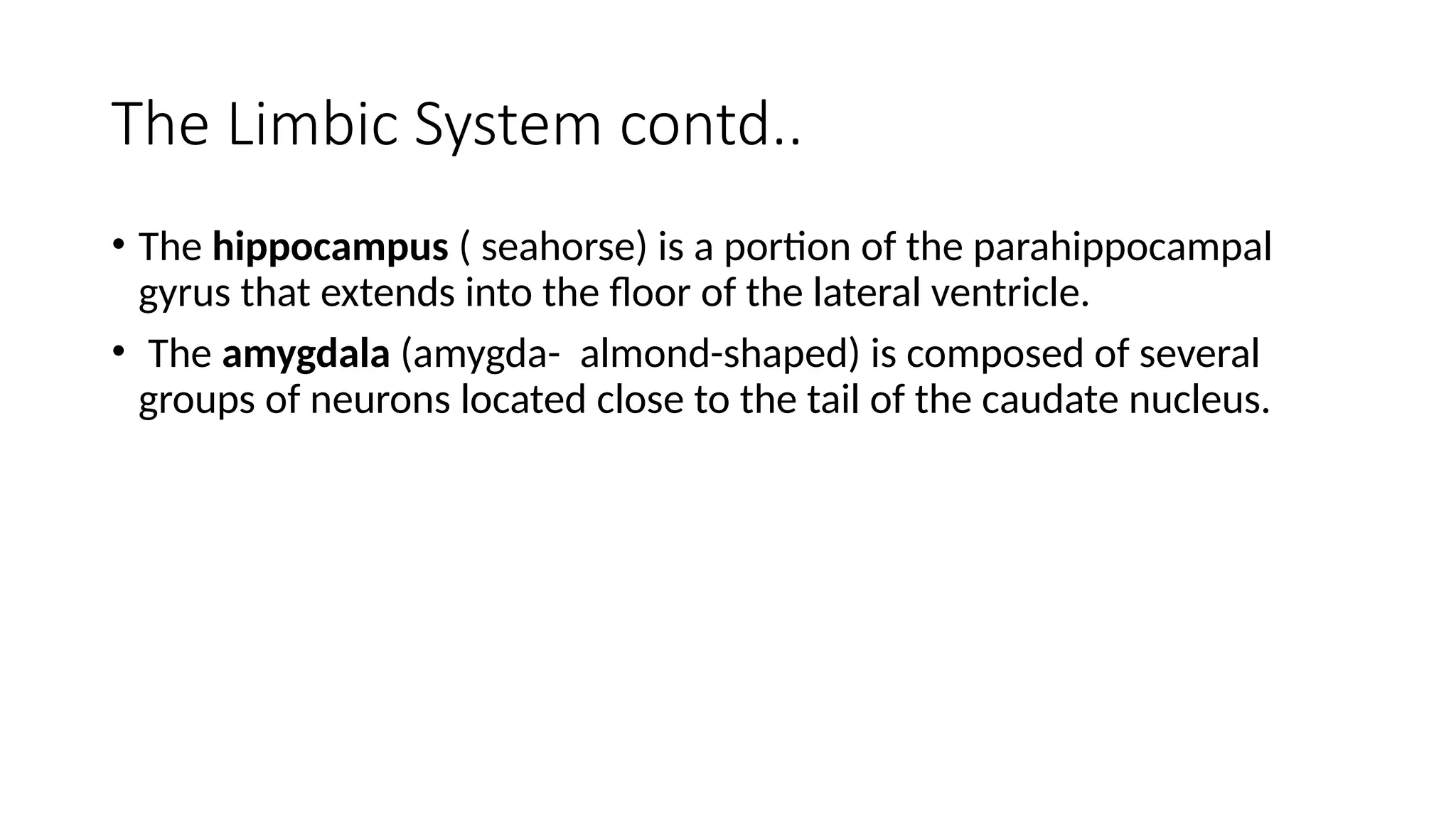 The Limbic System contd..
• The hippocampus ( seahorse) is a portion of the parahippocampal
gyrus that extends into the ﬂoor of the lateral ventricle.
• The amygdala (amygda- almond-shaped) is composed of several
groups of neurons located close to the tail of the caudate nucleus.
 