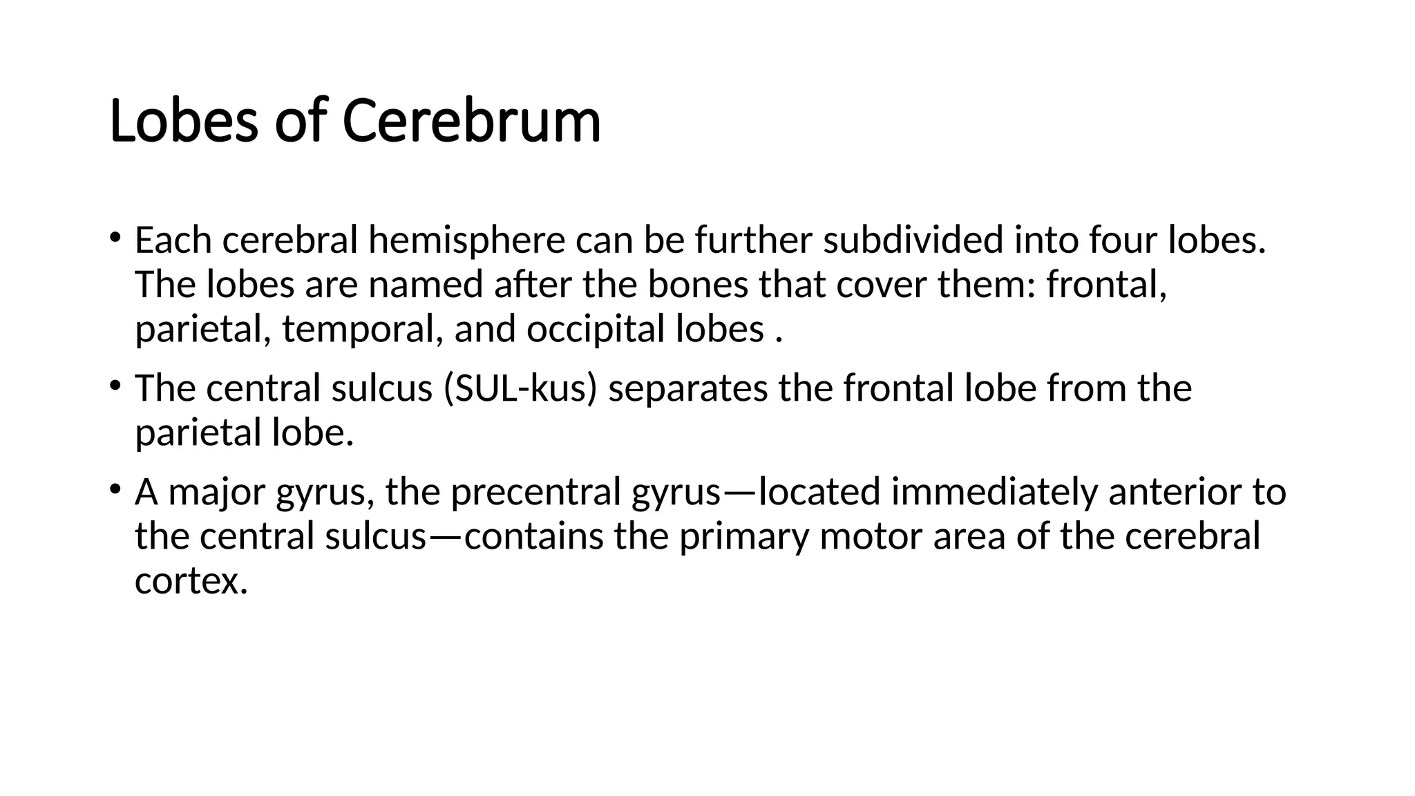 Lobes of Cerebrum
• Each cerebral hemisphere can be further subdivided into four lobes.
The lobes are named after the bones that cover them: frontal,
parietal, temporal, and occipital lobes .
• The central sulcus (SUL-kus) separates the frontal lobe from the
parietal lobe.
• A major gyrus, the precentral gyrus—located immediately anterior to
the central sulcus—contains the primary motor area of the cerebral
cortex.
 