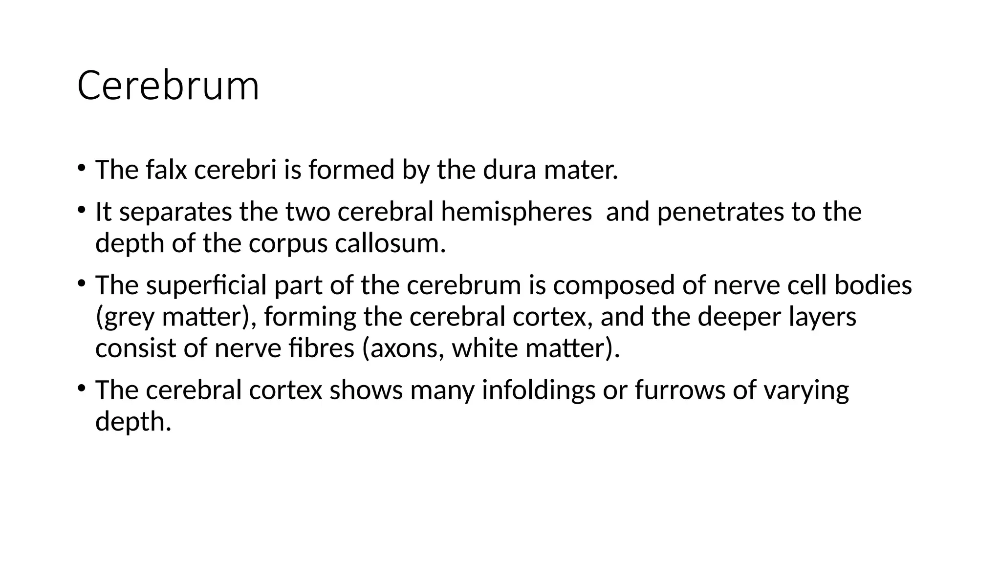 Cerebrum
• The falx cerebri is formed by the dura mater.
• It separates the two cerebral hemispheres and penetrates to the
depth of the corpus callosum.
• The superficial part of the cerebrum is composed of nerve cell bodies
(grey matter), forming the cerebral cortex, and the deeper layers
consist of nerve fibres (axons, white matter).
• The cerebral cortex shows many infoldings or furrows of varying
depth.
 