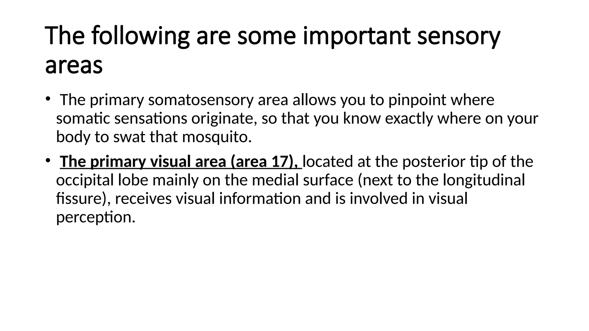 The following are some important sensory
areas
• The primary somatosensory area allows you to pinpoint where
somatic sensations originate, so that you know exactly where on your
body to swat that mosquito.
• The primary visual area (area 17), located at the posterior tip of the
occipital lobe mainly on the medial surface (next to the longitudinal
ﬁssure), receives visual information and is involved in visual
perception.
 