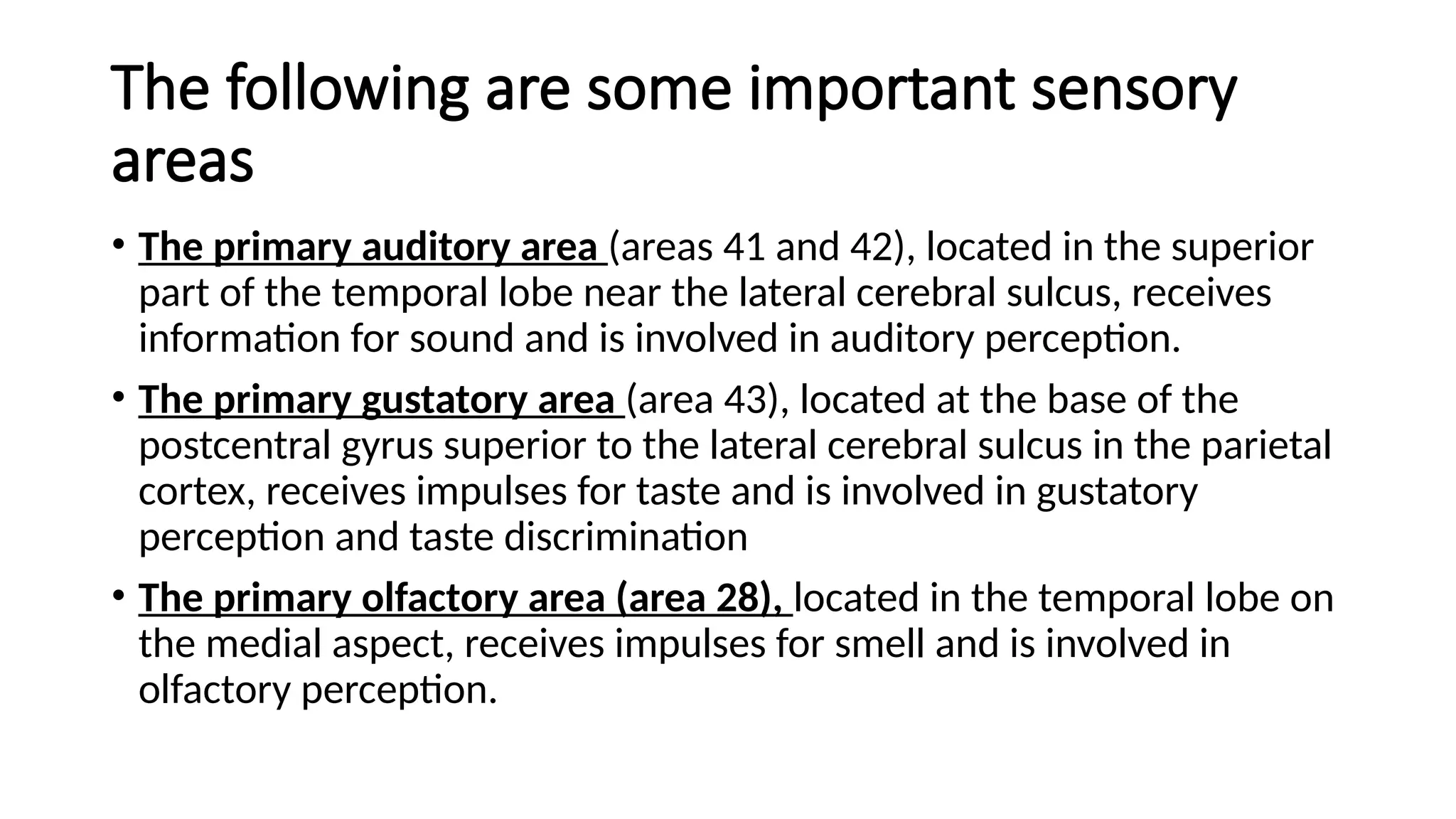 The following are some important sensory
areas
• The primary auditory area (areas 41 and 42), located in the superior
part of the temporal lobe near the lateral cerebral sulcus, receives
information for sound and is involved in auditory perception.
• The primary gustatory area (area 43), located at the base of the
postcentral gyrus superior to the lateral cerebral sulcus in the parietal
cortex, receives impulses for taste and is involved in gustatory
perception and taste discrimination
• The primary olfactory area (area 28), located in the temporal lobe on
the medial aspect, receives impulses for smell and is involved in
olfactory perception.
 
