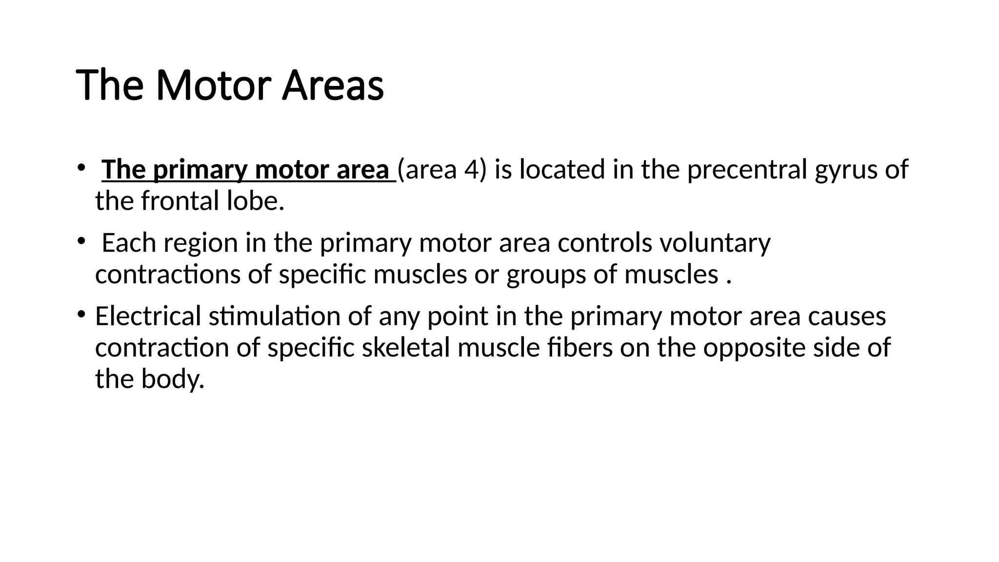 The Motor Areas
• The primary motor area (area 4) is located in the precentral gyrus of
the frontal lobe.
• Each region in the primary motor area controls voluntary
contractions of speciﬁc muscles or groups of muscles .
• Electrical stimulation of any point in the primary motor area causes
contraction of speciﬁc skeletal muscle ﬁbers on the opposite side of
the body.
 