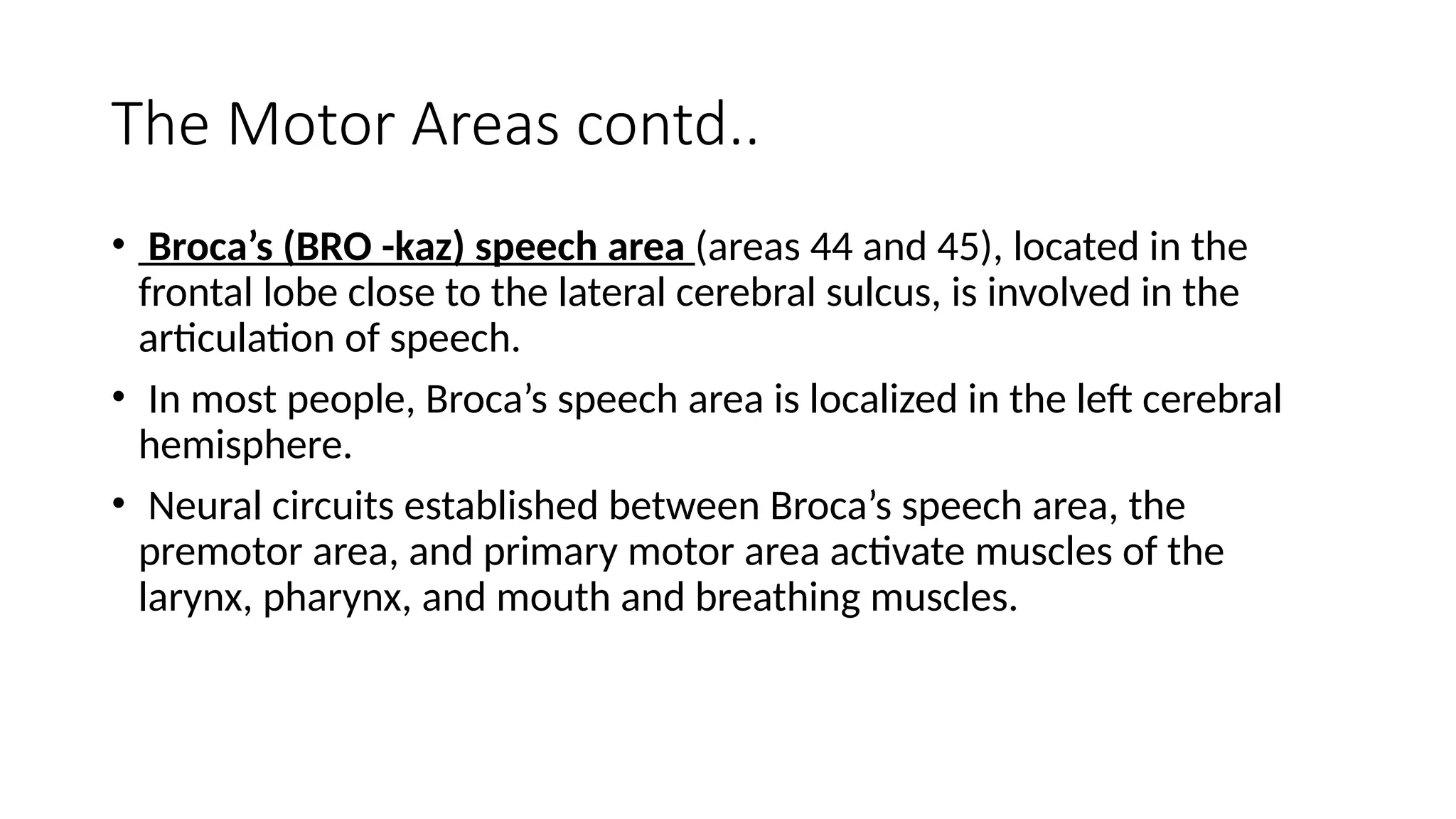 The Motor Areas contd..
• Broca’s (BRO -kaz) speech area (areas 44 and 45), located in the
frontal lobe close to the lateral cerebral sulcus, is involved in the
articulation of speech.
• In most people, Broca’s speech area is localized in the left cerebral
hemisphere.
• Neural circuits established between Broca’s speech area, the
premotor area, and primary motor area activate muscles of the
larynx, pharynx, and mouth and breathing muscles.
 