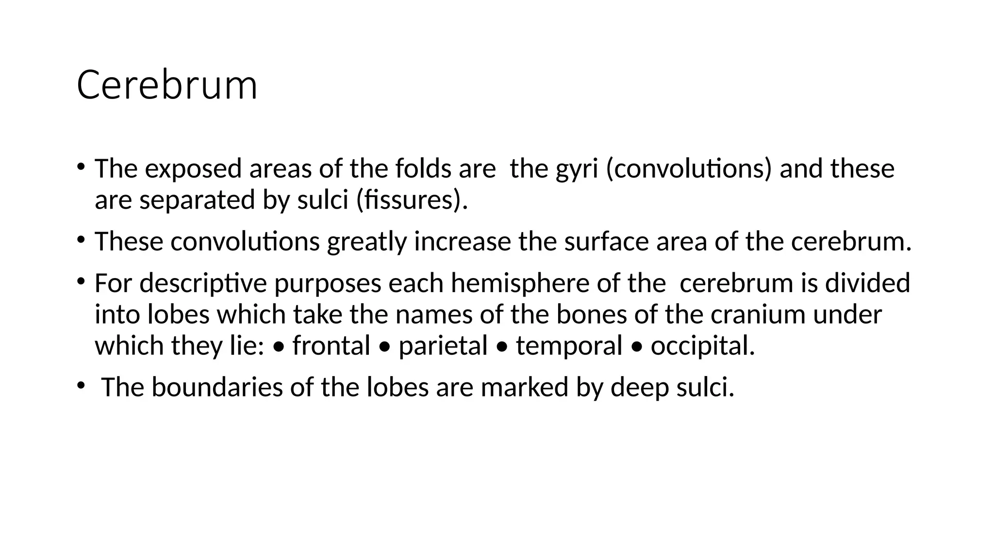 Cerebrum
• The exposed areas of the folds are the gyri (convolutions) and these
are separated by sulci (fissures).
• These convolutions greatly increase the surface area of the cerebrum.
• For descriptive purposes each hemisphere of the cerebrum is divided
into lobes which take the names of the bones of the cranium under
which they lie: • frontal • parietal • temporal • occipital.
• The boundaries of the lobes are marked by deep sulci.
 