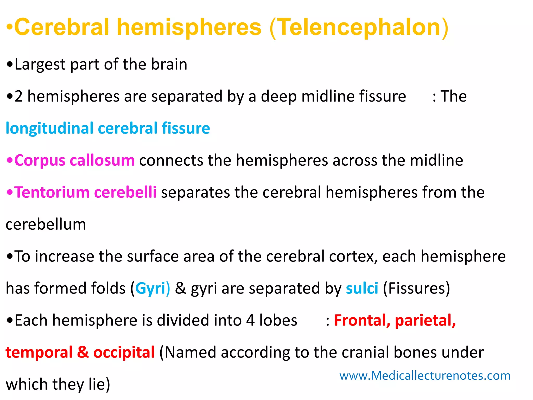 The white matter
•Cerebral hemispheres (Telencephalon)
•Largest part of the brain
•2 hemispheres are separated by a deep midline fissure        : The
longitudinal cerebral fissure
•Corpus callosum connects the hemispheres across the midline
•Tentorium cerebelli separates the cerebral hemispheres from the
cerebellum
•To increase the surface area of the cerebral cortex, each hemisphere
has formed folds (Gyri) & gyri are separated by sulci (Fissures)
•Each hemisphere is divided into 4 lobes     : Frontal, parietal,
temporal & occipital (Named according to the cranial bones under
                                                www.Medicallecturenotes.com
which they lie)
 