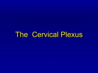 The Cervical Plexus
 