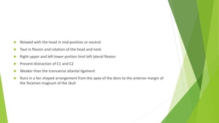  Relaxed with the head in mid-position or neutral
 Taut in flexion and rotation of the head and neck
 Right upper and left lower portion limit left lateral flexion
 Prevent distraction of C1 and C2
 Weaker than the transverse atlantal ligament
 Runs in a fan shaped arrangement from the apex of the dens to the anterior margin of
the foramen magnum of the skull
 