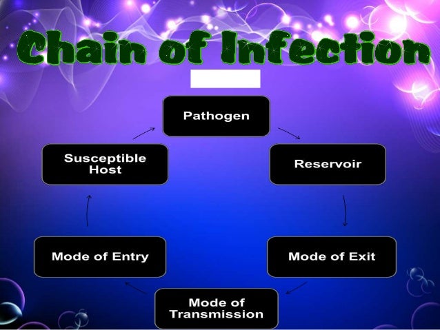 The chain of infection