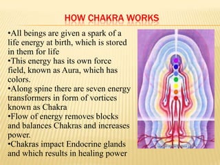 HOW CHAKRA WORKS
•All beings are given a spark of a
life energy at birth, which is stored
in them for life
•This energy has its own force
field, known as Aura, which has
colors.
•Along spine there are seven energy
transformers in form of vortices
known as Chakra
•Flow of energy removes blocks
and balances Chakras and increases
power.
•Chakras impact Endocrine glands
and which results in healing power
 