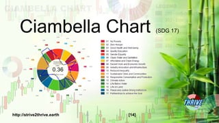 Ciambella Chart (SDG 17)
http://strive2thrive.earth [14]
 