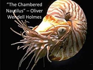 “The Chambered
Nautilus” – Oliver
Wendell Holmes
 