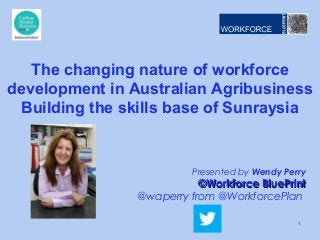 Presented by Wendy Perry
©Workforce BluePrint©Workforce BluePrint
@waperry from @WorkforcePlan
The changing nature of workforce
development in Australian Agribusiness
Building the skills base of Sunraysia
1
 