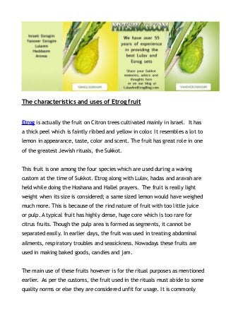 The characteristics and uses of Etrog fruit


Etrog is actually the fruit on Citron trees cultivated mainly in Israel. It has
a thick peel which is faintly ribbed and yellow in color. It resembles a lot to
lemon in appearance, taste, color and scent. The fruit has great role in one
of the greatest Jewish rituals, the Sukkot.


This fruit is one among the four species which are used during a waving
custom at the time of Sukkot. Etrog along with Lulav, hadas and aravah are
held while doing the Hoshana and Hallel prayers. The fruit is really light
weight when its size is considered; a same sized lemon would have weighed
much more. This is because of the rind nature of fruit with too little juice
or pulp. A typical fruit has highly dense, huge core which is too rare for
citrus fruits. Though the pulp area is formed as segments, it cannot be
separated easily. In earlier days, the fruit was used in treating abdominal
ailments, respiratory troubles and seasickness. Nowadays these fruits are
used in making baked goods, candies and jam.


The main use of these fruits however is for the ritual purposes as mentioned
earlier. As per the customs, the fruit used in the rituals must abide to some
quality norms or else they are considered unfit for usage. It is commonly
 