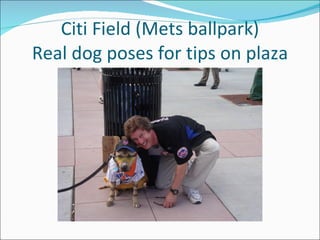 Citi Field (Mets ballpark)
Real dog poses for tips on plaza
 