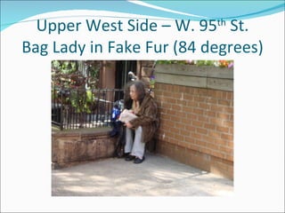 Upper West Side – W. 95th St.
Bag Lady in Fake Fur (84 degrees)
 