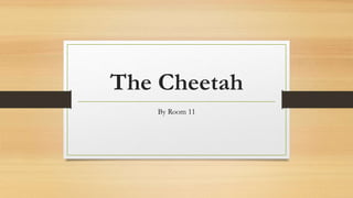 The Cheetah
By Room 11
 