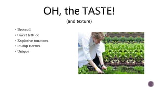  Broccoli
 Sweet lettuce
 Explosive tomotoes
 Plump Berries
 Unique
 