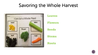 Leaves
Flowers
Seeds
Stems
Roots
 