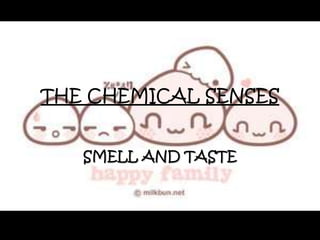 THE CHEMICAL SENSES
SMELL AND TASTE
 