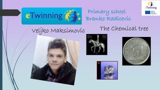 Primary school
Branko Radicevic
Veljko Maksimovic The Chemical tree
 