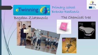 Primary school
Branko Radicevic
Bogdan Zlatanovic The Chemical tree
 