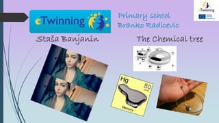 Primary school
Branko Radicevic
Staša Banjanin The Chemical tree
 
