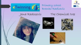 Primary school
Branko Radicevic
Jana Radosevic The Chemical tree
 