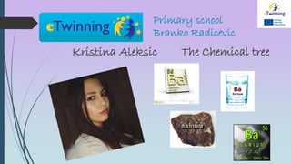 Primary school
Branko Radicevic
Kristina Aleksic The Chemical tree
 