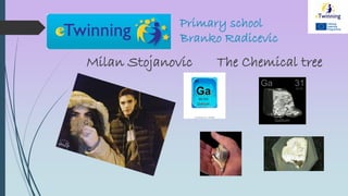 Primary school
Branko Radicevic
Milan Stojanovic The Chemical tree
 