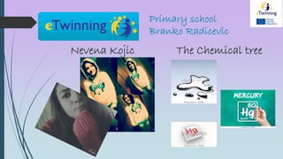 Primary school
Branko Radicevic
Nevena Kojic The Chemical tree
 