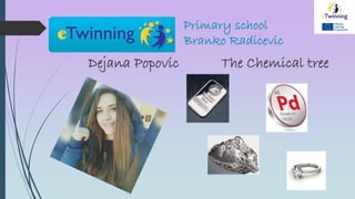 Primary school
Branko Radicevic
Dejana Popovic The Chemical tree
 